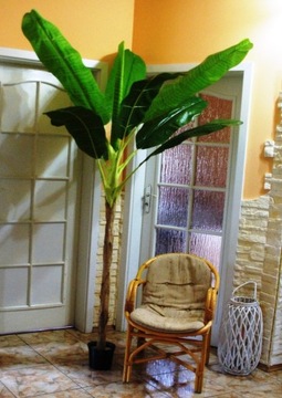 Drzewko sztuczne bananowiec 210- 230 cm