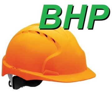 BHP: OCENA RYZYKA ZAWODOWEGO + czynniki biol.