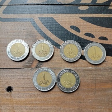 Moneta Egipska 1 funt egipski