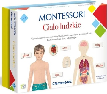 Montessori Ciało ludzkie prezent na Dzień Dziecka Urodziny gra rozwojowa