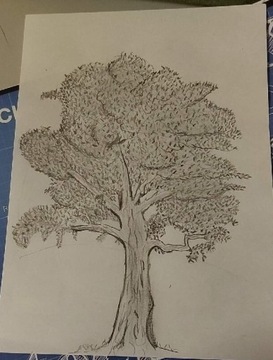 Szkic A5 drzewo, handmade