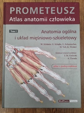 Prometeusz atlas anatomii czlowieka