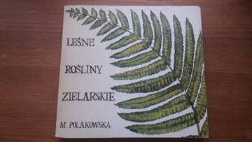 Leśne rośliny zielarskie M. Polakowska