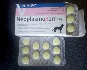 Neoplasmoxan Dog Vebiot (114 tabletek)