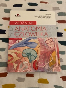 Anatomia Woźniak 