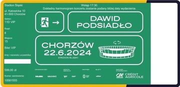 Bilet VIP na DAWID PODSIADŁO Chorzów 22.06.2024