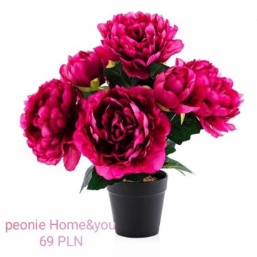 Sztuczne kwiaty w doniczce peonie różowe home&you