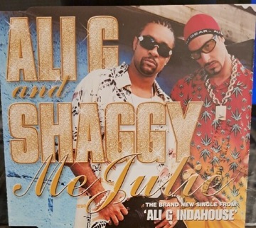 SHAGGY AND ALI G - MY JULIE