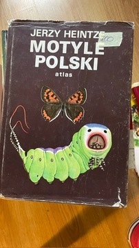 Motyle Polski ATLAS