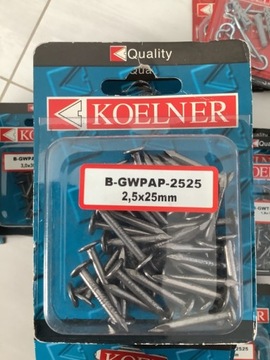 Gwoździe Koelner papowe  2,5 x 25 mm 40 sztuk