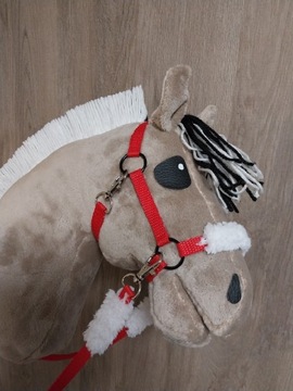 Konik hobby horse 