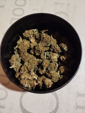 Susz CBD konopie skun topy marihuana 5% 0,3% THC 