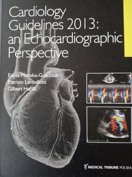 cardiology guidelines 2013 an echocardiographic 