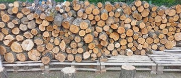 Drewno kominkowe Akacja