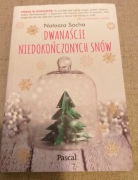 Dwanaście niedokończonych snów