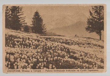 Zakopane TATRY Wiosna w Tatrach