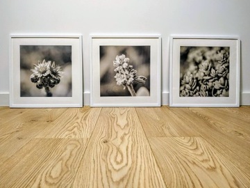 Obrazy z kwiatami w ramce o wym. 40x40 cm - 3 szt.
