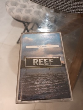 Reef "rides"         