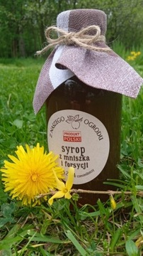 Syrop z mniszka i forsycji