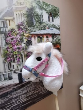 Koń Hobby Horse na kijku + zestaw - Arielka 