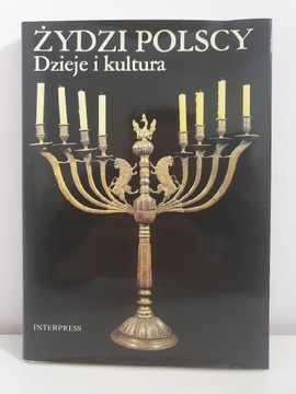 Żydzi polscy. Dzieje i kultura
