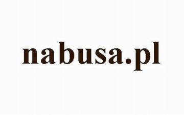 www.nabusa.pl domena na sprzedaz nabusa.pl domene