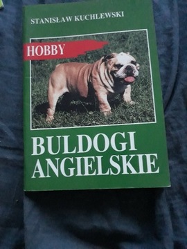 BULDOGI ANGIELSKIE