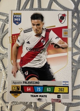 FIFA 365 (2023) | PALAVECINO (15)