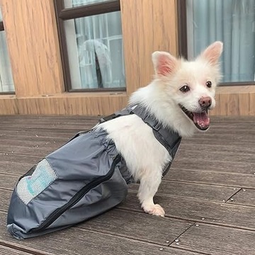 Wytrzymała torba dla psa dla sparaliżowanych XS