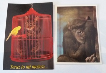 2 pocztówki ze zwierzętami (zestaw)