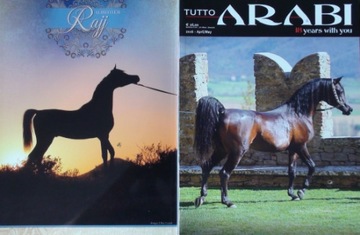 TUTTO ARABI Apr-May 2016 ALI JAMAAL konie arabskie