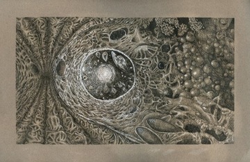 Galaxy - Rysunek na papierze - Igor Jop