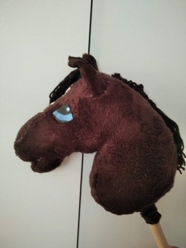 Hobby horse konik