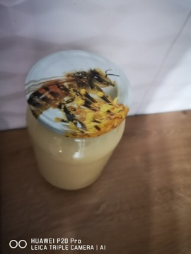 Miód naturalny od pszczelarza 