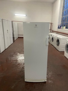 Zamrażarka Electrolux 155cm. 249 litrów. Gwarancja