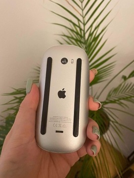 magic mouse