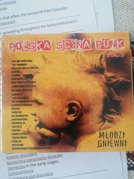 Polska scena punk vol. 5 młodzi gniewni folia