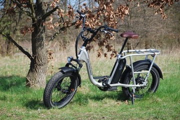 Radrunner plus (Rad power bikes)