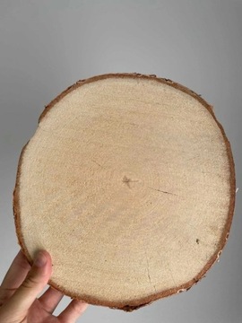 Plastry drewna brzozowego:21 szt/26-27cm śr/2cm gr