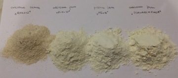 Mąka orkiszowa odmiana Schwabenkorn jasna 5kg