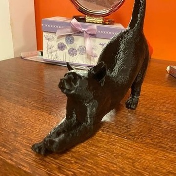 Kot wydrukowany w drukarce 3D