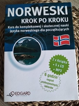 NORWESKI krok po kroku stan idealny