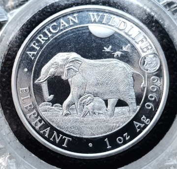 African Wildlife Elephant 2022 1oz priv mark