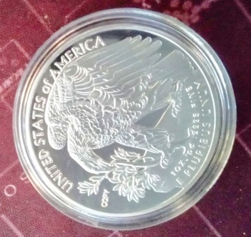 moneta srebrna kolekcjonerska USA