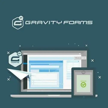 Gravity Forms | v2.8.6 | Szybka dostawa