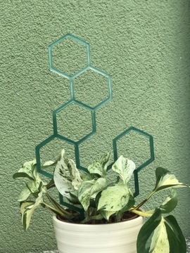 Podpórka do roślin Miodzik XL zielone Ombré