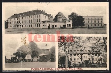 WIELEŃ Filehne Pedagogium Ostrau 1913