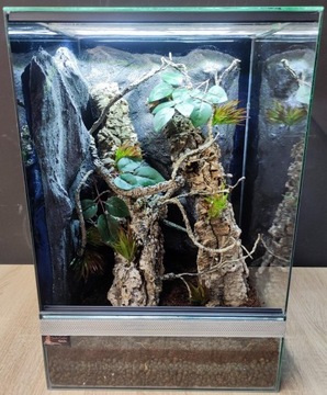 Terrarium dla gekona żaby 30x30x40 