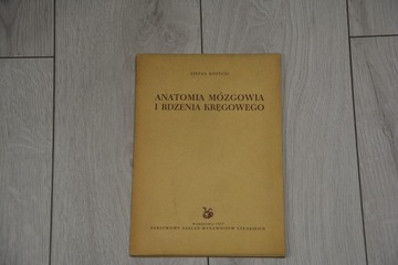 Anatomia Mózgowia i Rdzenia Kręgowego