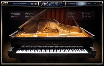 XLN Audio Addictive Keys - Wirtualny instrument 